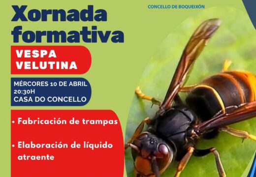 O Concello de Boqueixón organiza unha xornada formativa sobre a vespa velutina